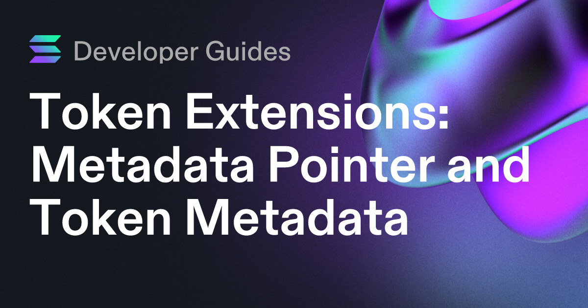 How to use the Metadata Pointer extension