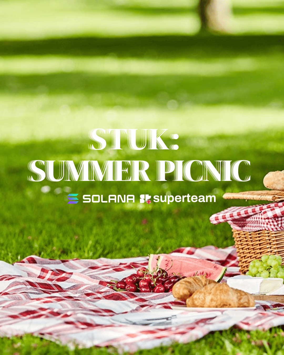 STUK Member Evening: Summer Picnic
